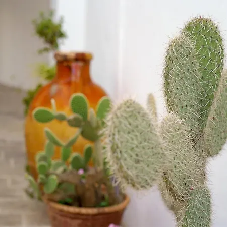 Nyaraló Corte Delle Rondini