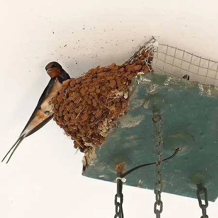 Corte Delle Rondini Nyaraló Calimera